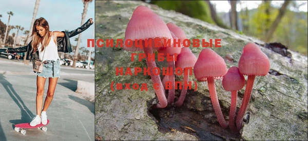 индика Абдулино