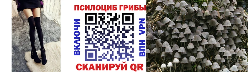 Псилоцибиновые грибы GOLDEN TEACHER  купить закладку  Монино 