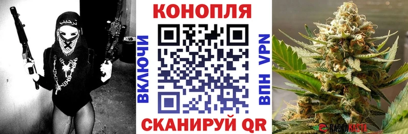Бошки марихуана план  дарнет шоп  Монино 
